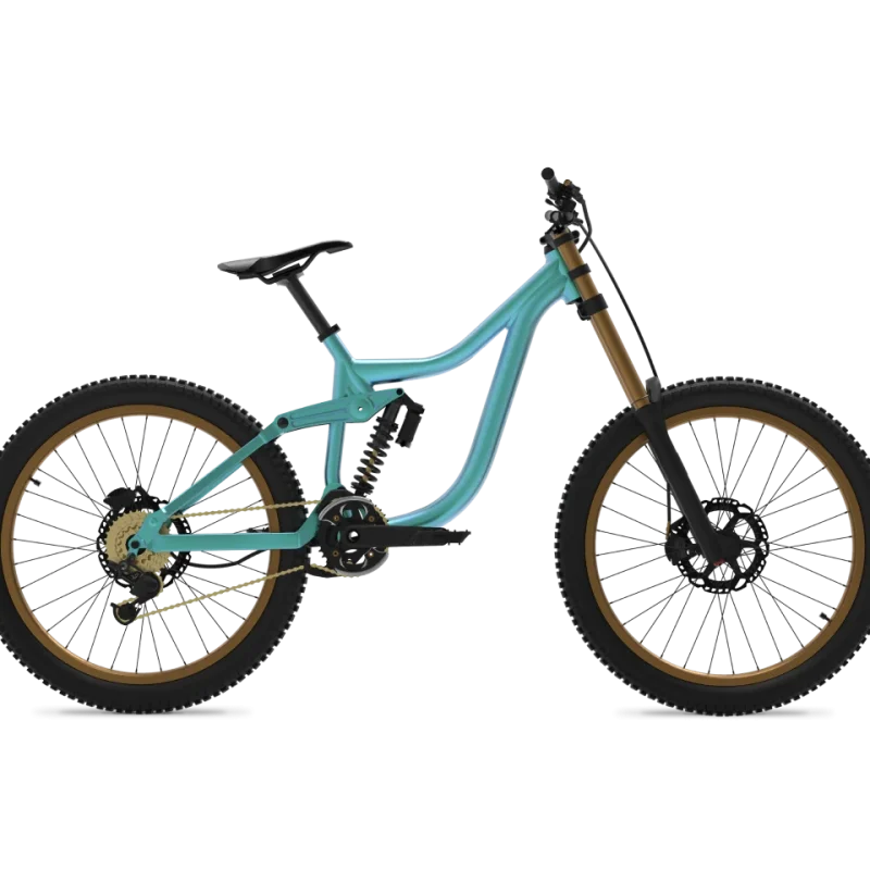 Venus bike